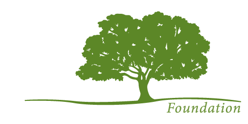 Lumpkin Foundation logo