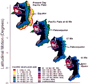 Pacific plate evolution