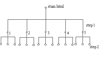 Tree Diagram