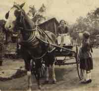 Emily Lamsdon | From the Young family
album