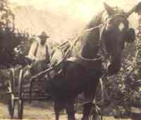 Frank Young | From
the Young family album